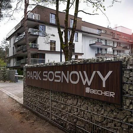 Sosnowy 